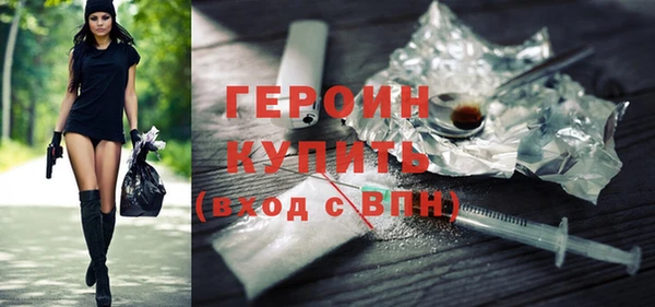 соль ск Тайга